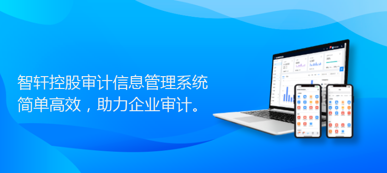 控股审计信息管理系统